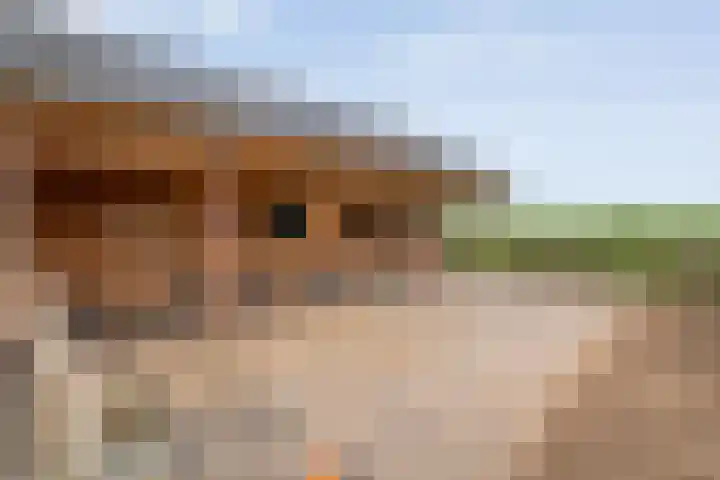 Asserweg 21 Hooghalen thumbnail 42