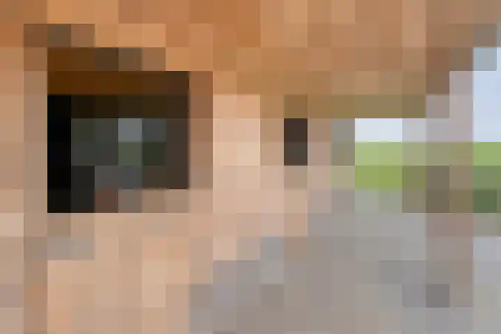 Asserweg 21 Hooghalen thumbnail 43