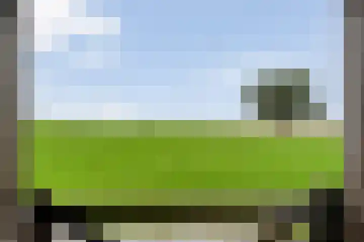 Asserweg 21 Hooghalen thumbnail 44