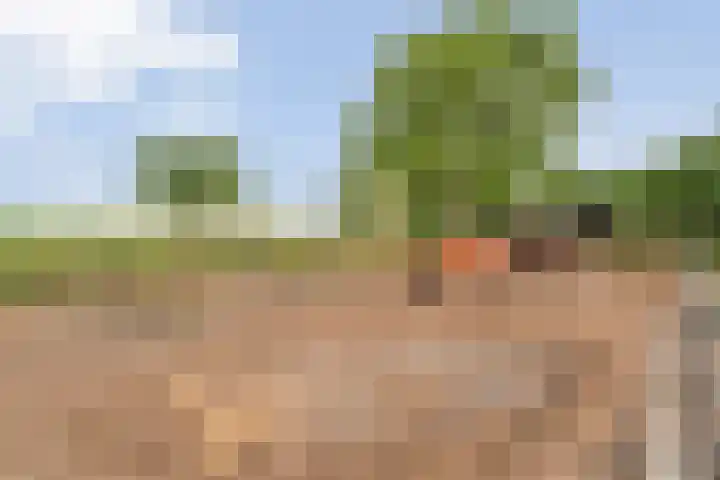 Asserweg 21 Hooghalen thumbnail 46