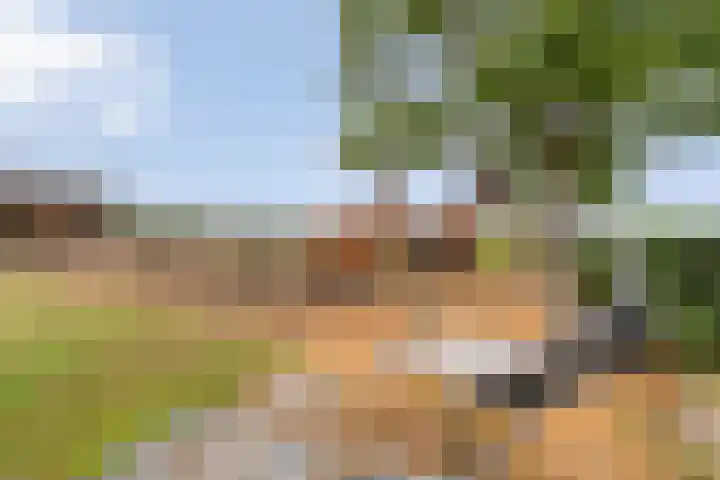 Asserweg 21 Hooghalen thumbnail 47