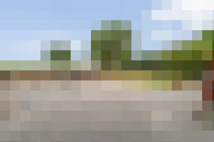 Asserweg 21 Hooghalen thumbnail 48