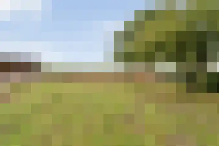 Asserweg 21 Hooghalen thumbnail 51