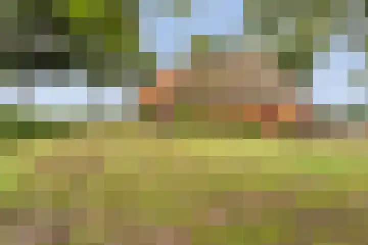 Asserweg 21 Hooghalen thumbnail 52