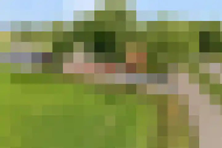 Asserweg 21 Hooghalen thumbnail 57