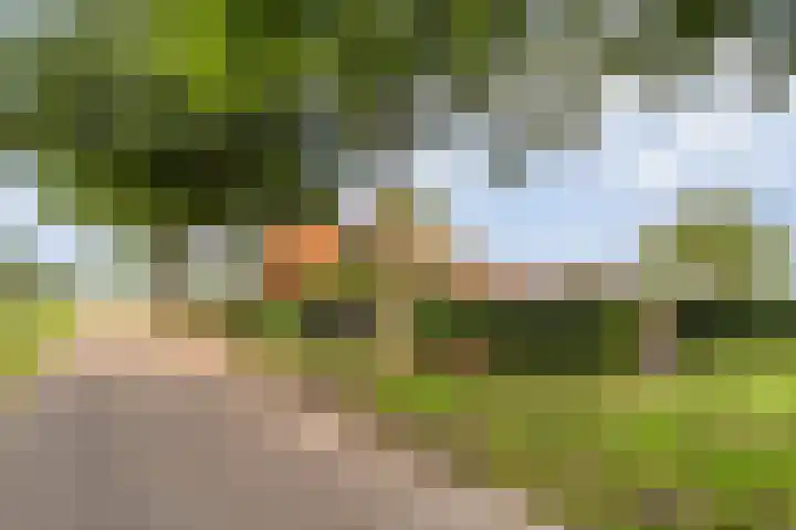 Asserweg 21 Hooghalen thumbnail 58