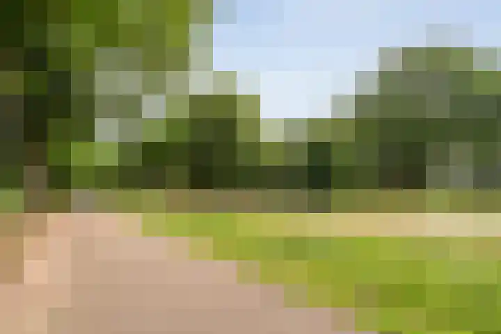 Asserweg 21 Hooghalen thumbnail 59