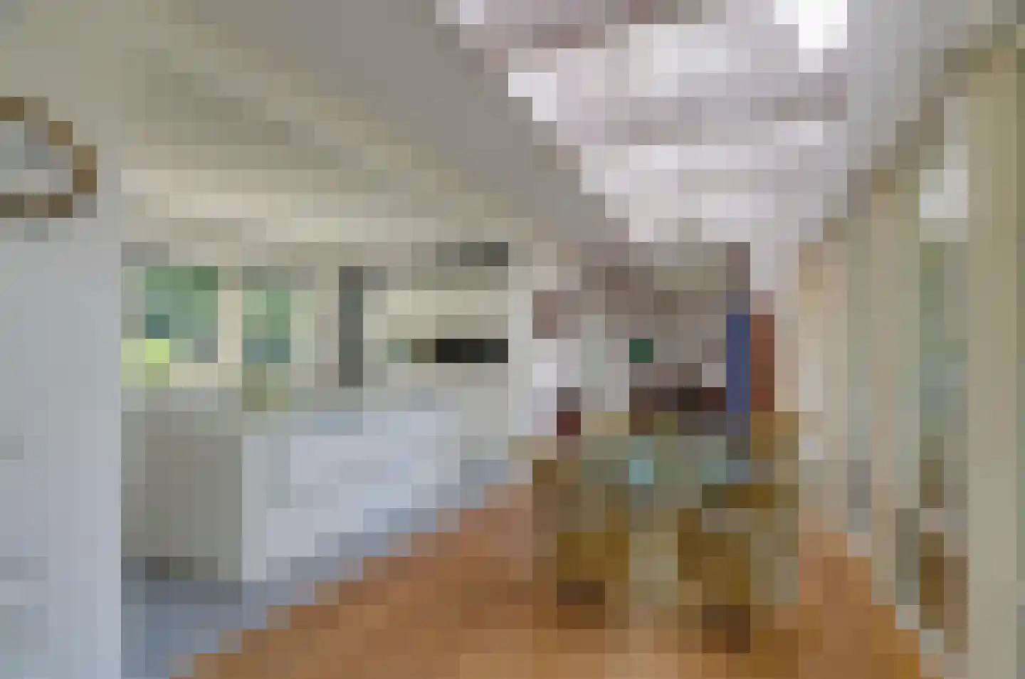 Asserwijk 21 Assen thumbnail 11