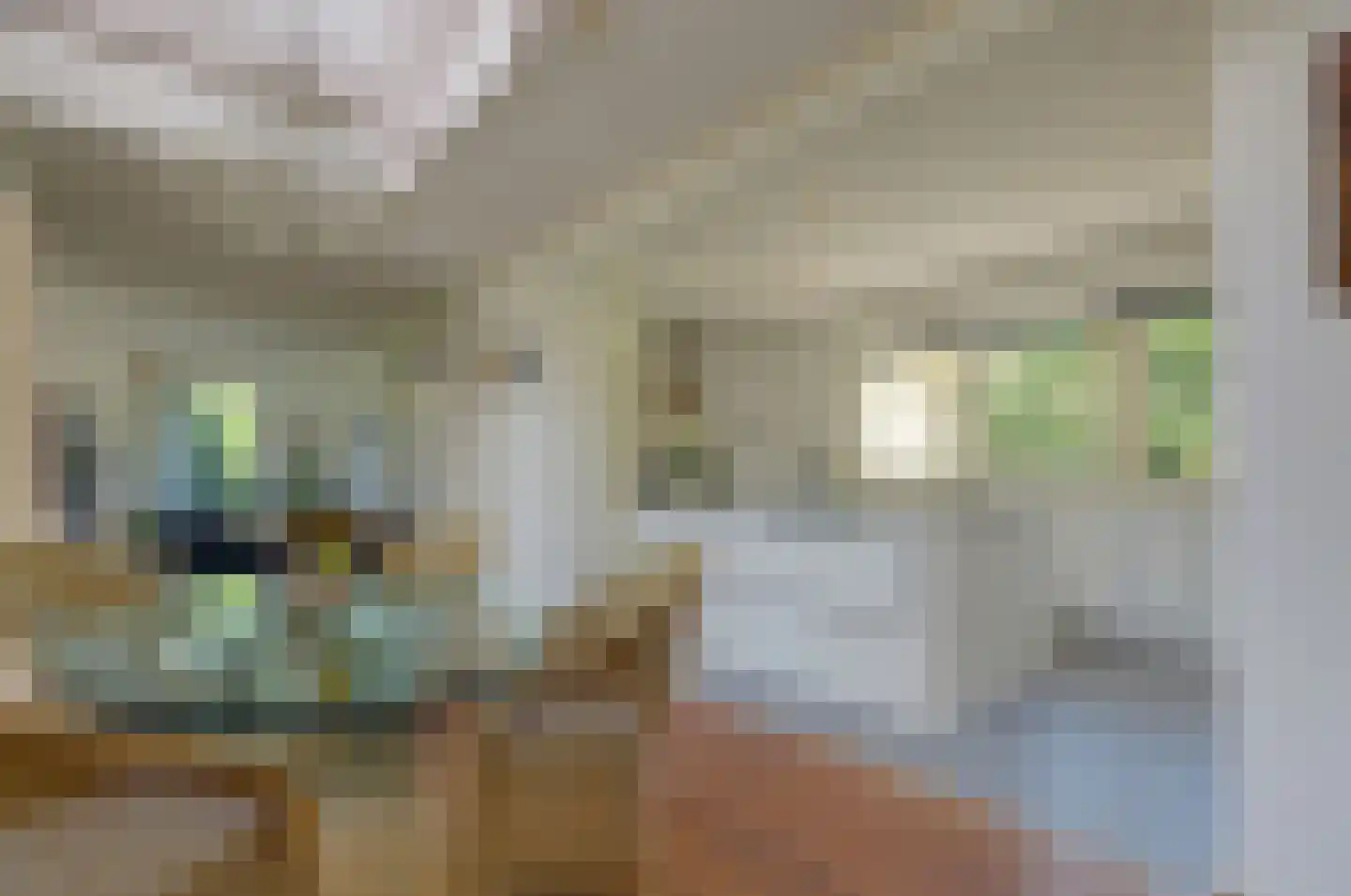 Asserwijk 21 Assen thumbnail 17