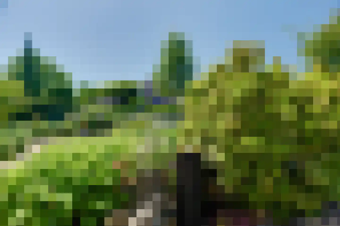 Asserwijk 21 Assen thumbnail 48