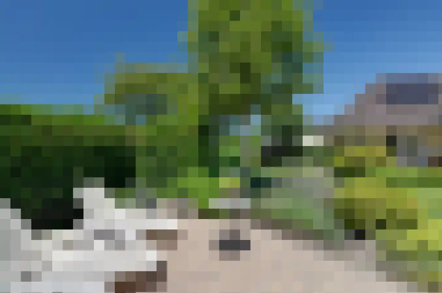 Asserwijk 21 Assen thumbnail 50