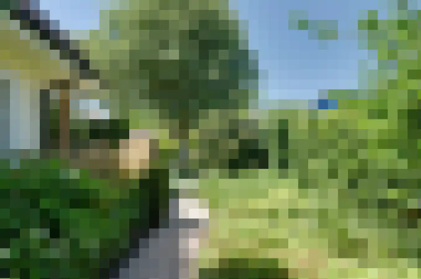 Asserwijk 21 Assen thumbnail 56