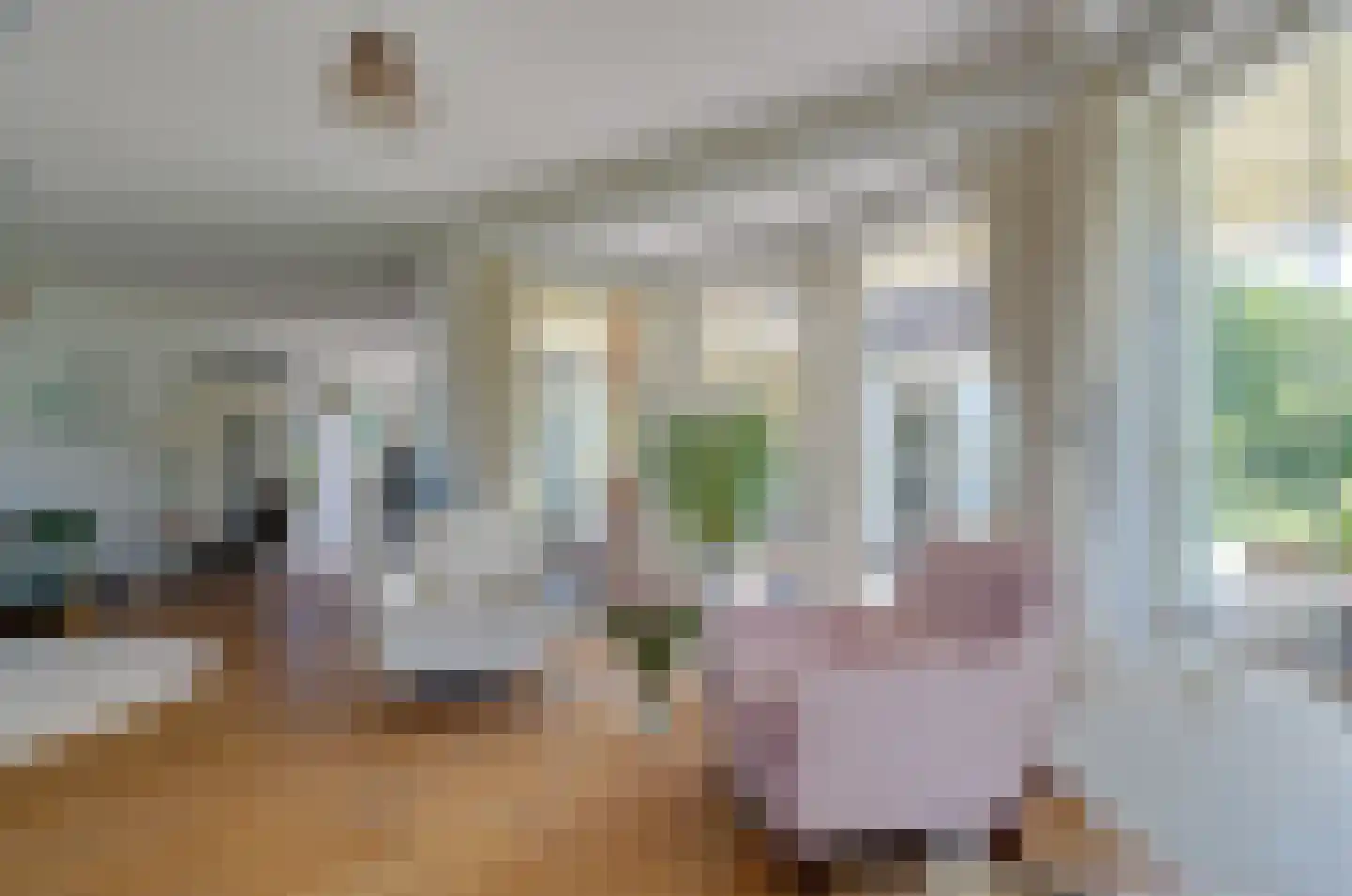 Asserwijk 21 Assen thumbnail 8