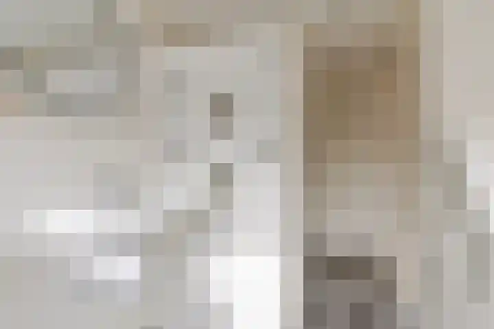 Assessorlaan 15 Oosterwolde thumbnail 21