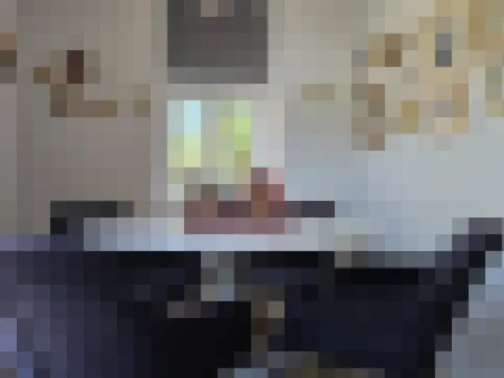 Assiesplein 4 Zwolle thumbnail 4