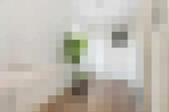 Assiesplein 6 5 Zwolle thumbnail 17