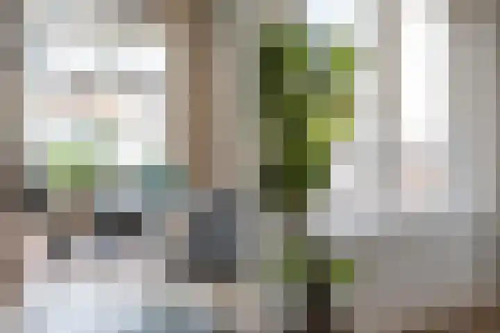 Assiesplein 6 5 Zwolle thumbnail 9