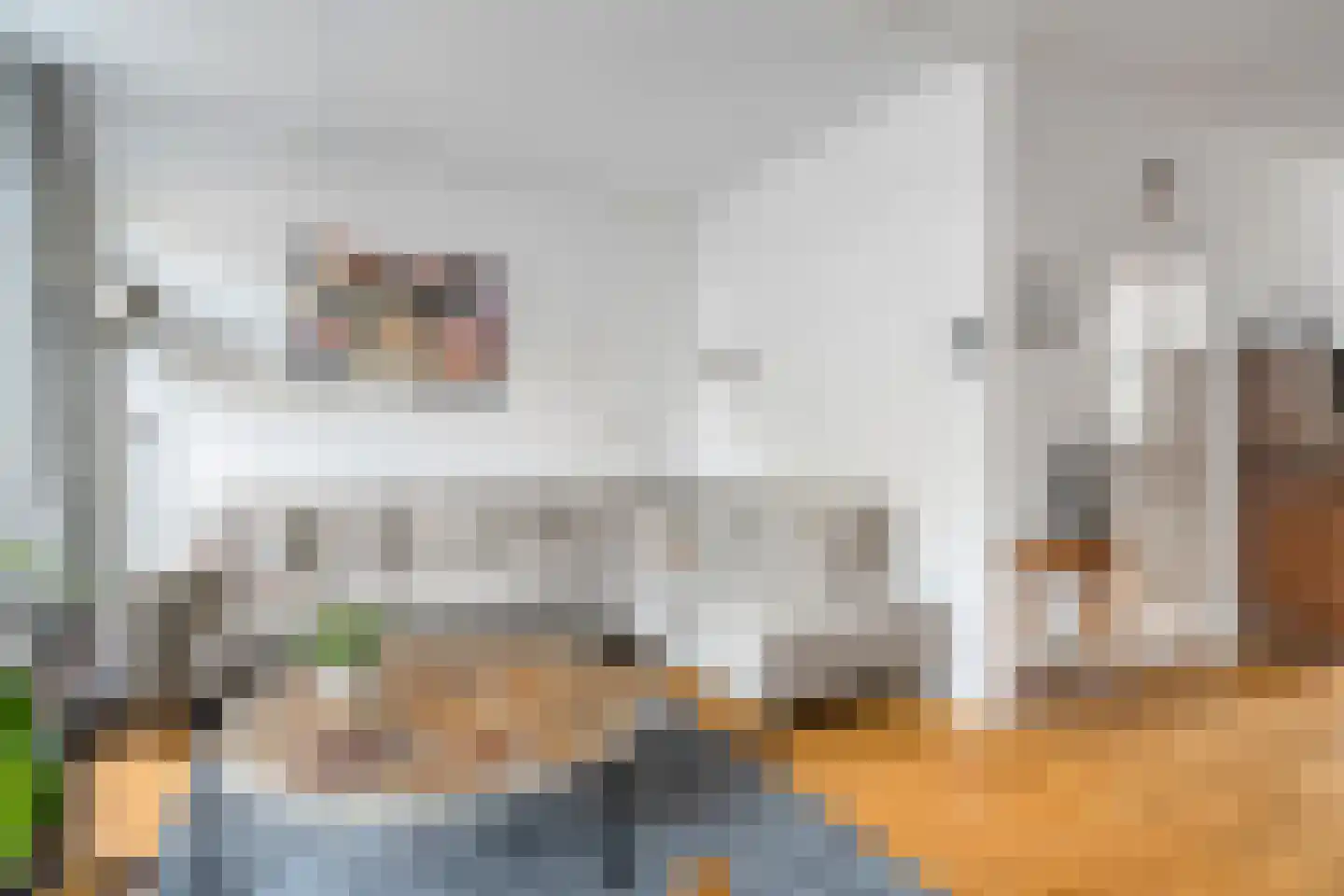 Assiesstraat 10 Zwolle thumbnail 10