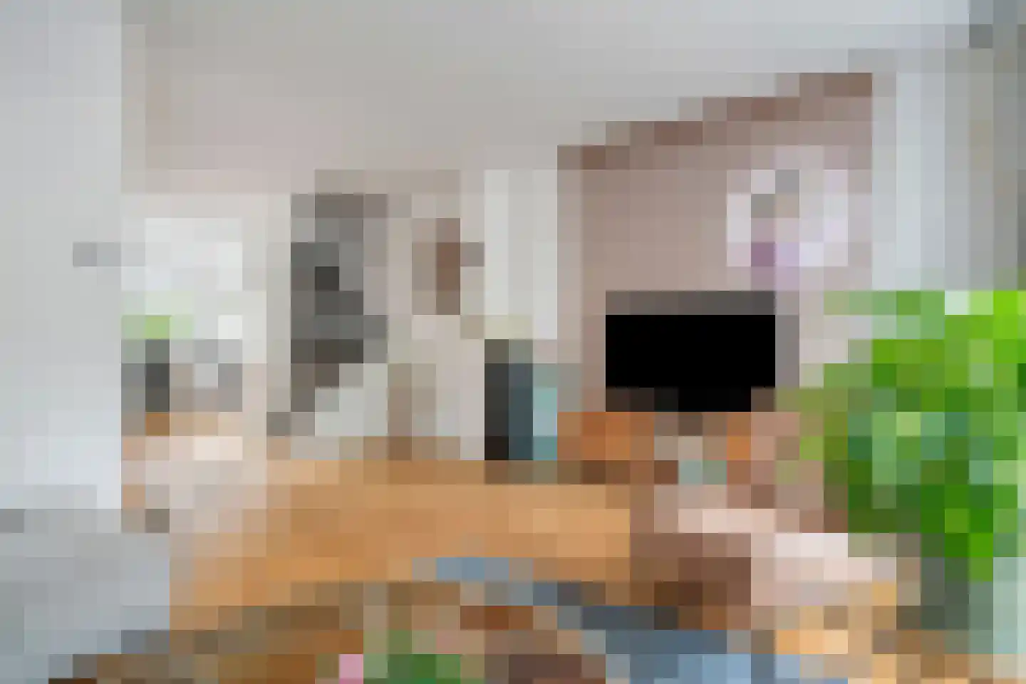 Assiesstraat 10 Zwolle thumbnail 12