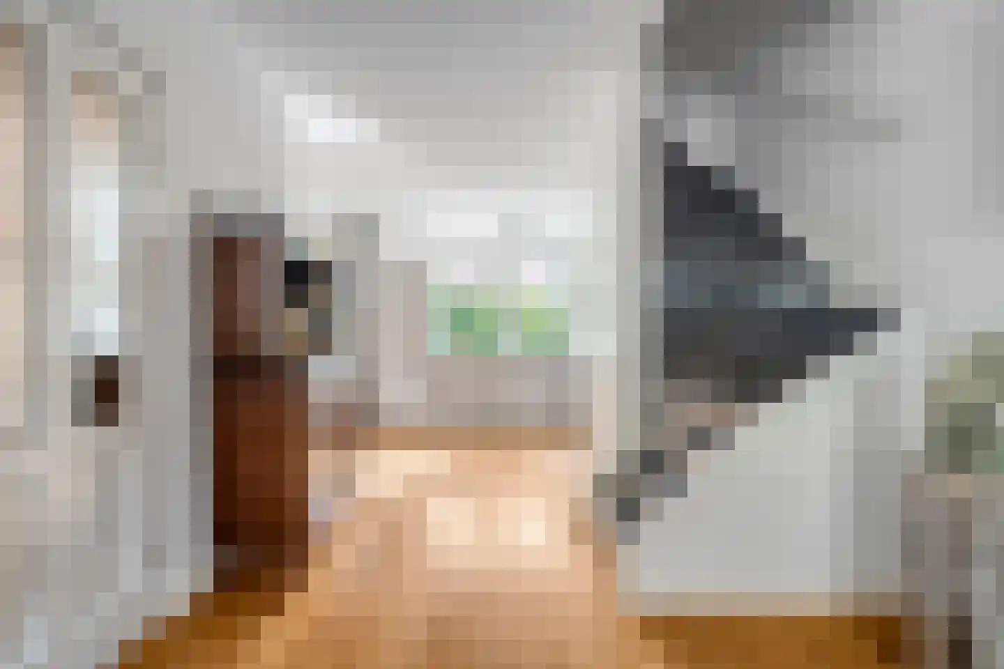 Assiesstraat 10 Zwolle thumbnail 13