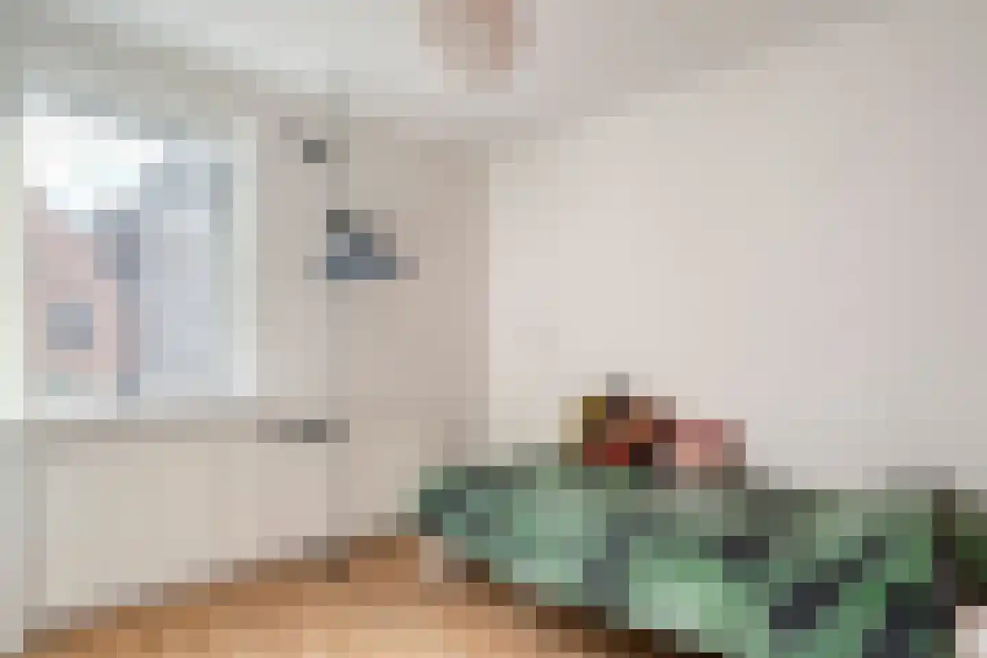 Assiesstraat 10 Zwolle thumbnail 22