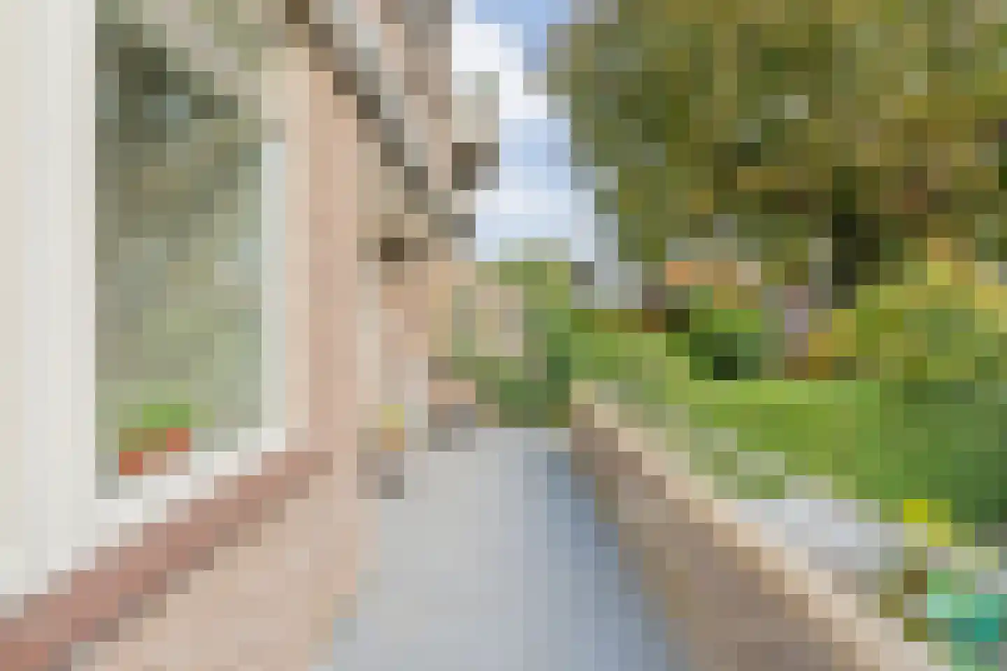 Assiesstraat 10 Zwolle thumbnail 29