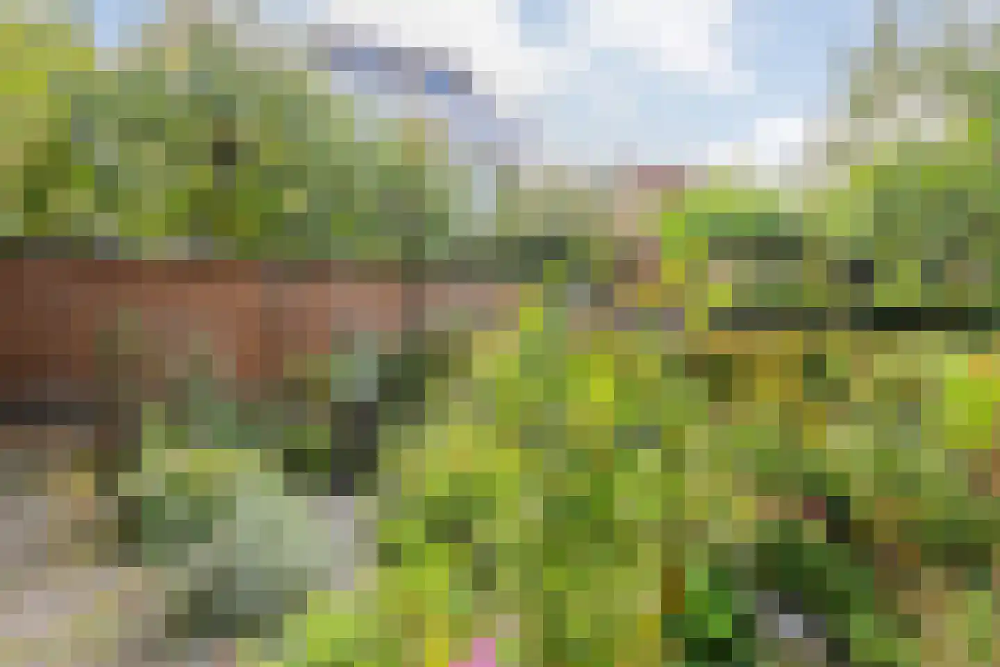 Assiesstraat 10 Zwolle thumbnail 30
