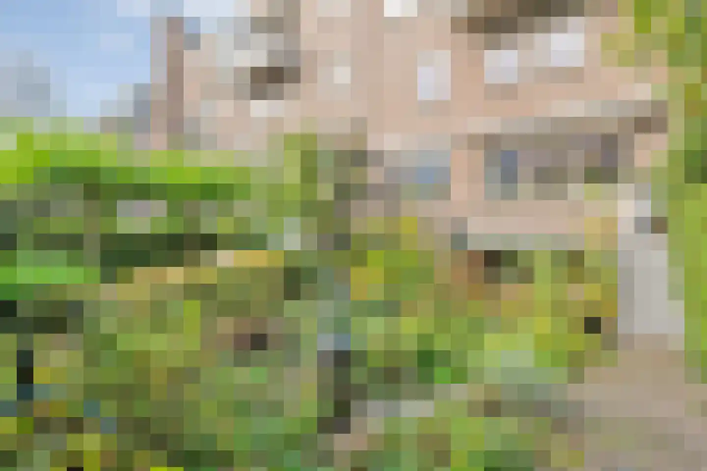 Assiesstraat 10 Zwolle thumbnail 31