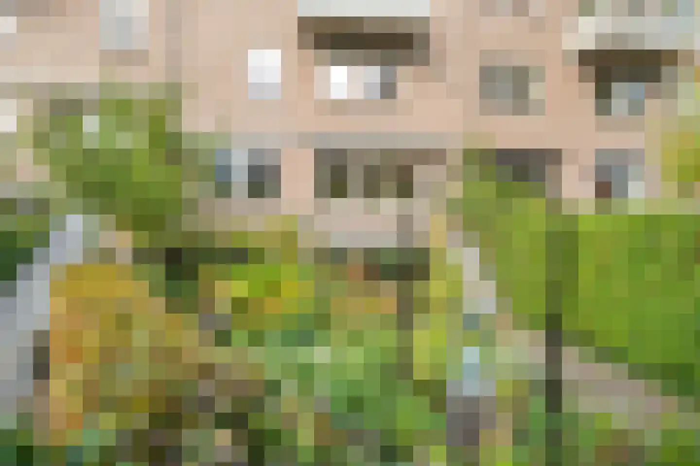 Assiesstraat 10 Zwolle thumbnail 32