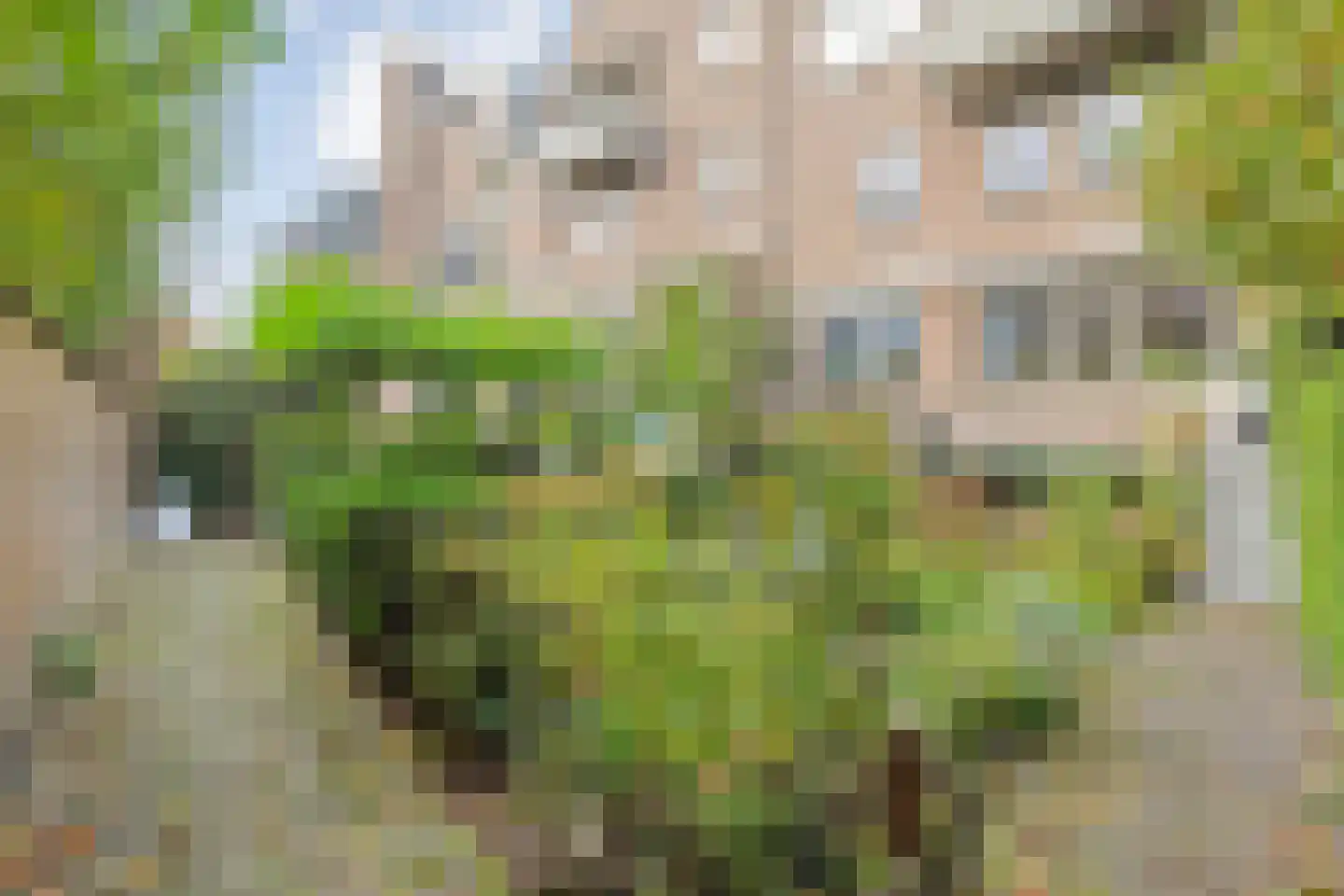 Assiesstraat 10 Zwolle thumbnail 33