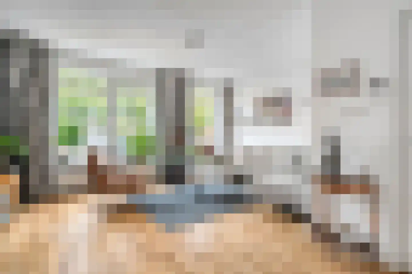 Assiesstraat 10 Zwolle thumbnail 9