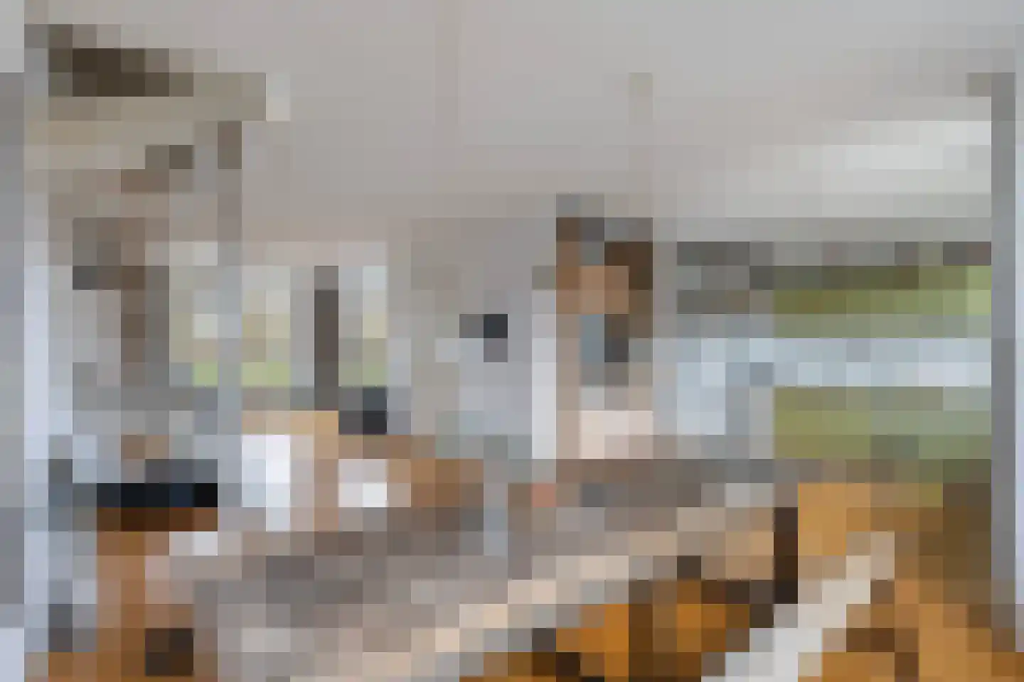 Assiesstraat 30 Zwolle thumbnail 10
