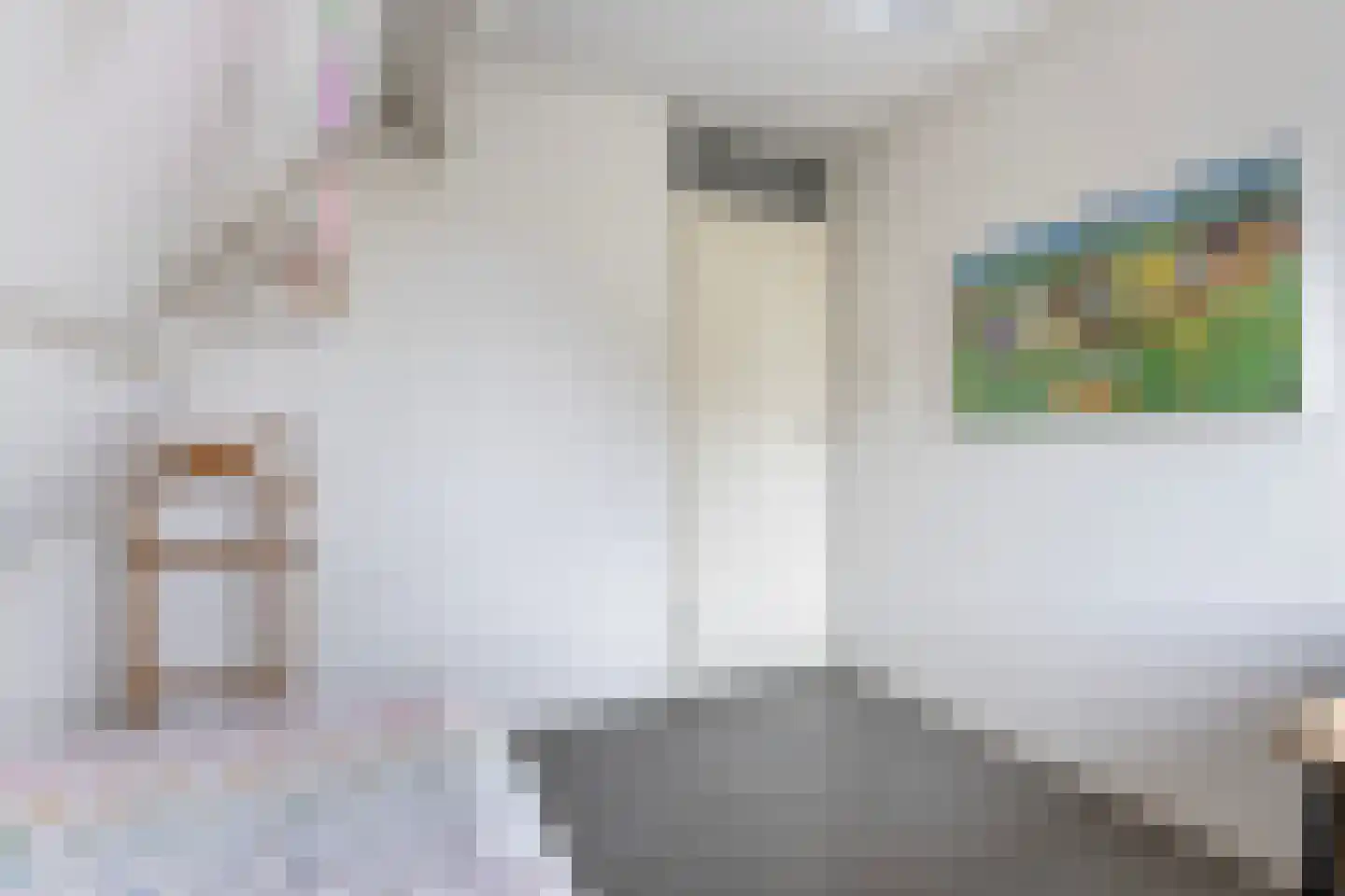 Assiesstraat 30 Zwolle thumbnail 20