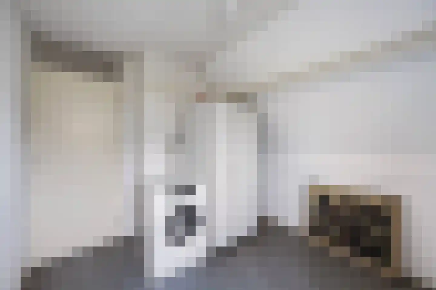 Assiesstraat 30 Zwolle thumbnail 21