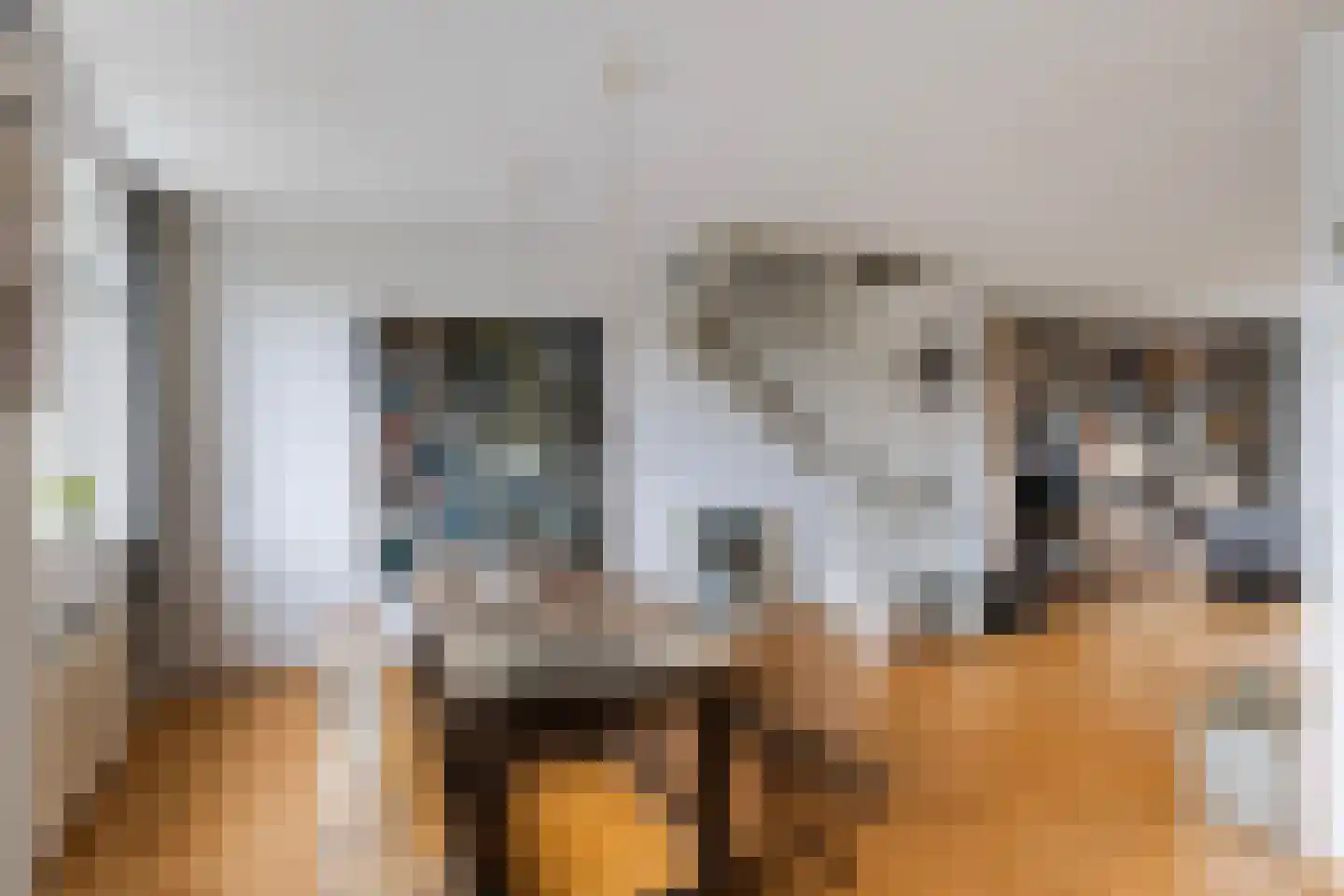 Assiesstraat 30 Zwolle thumbnail 9