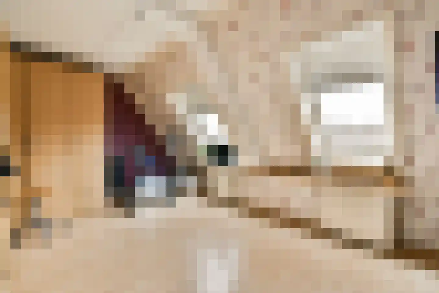 Assinkbos 15 Hoofddorp thumbnail 13