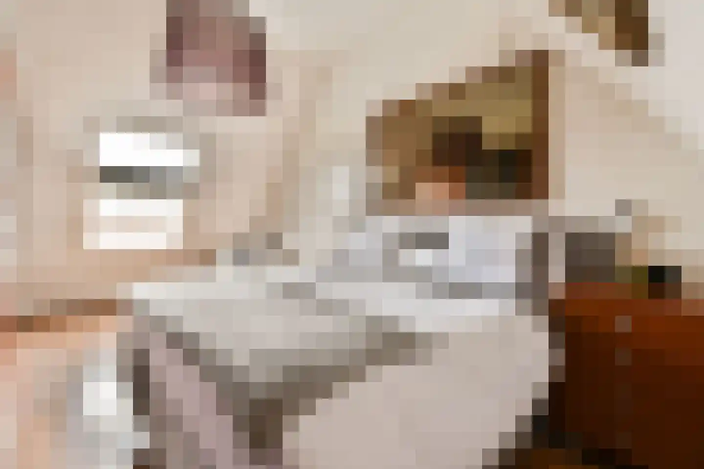 Assinkbos 15 Hoofddorp thumbnail 15