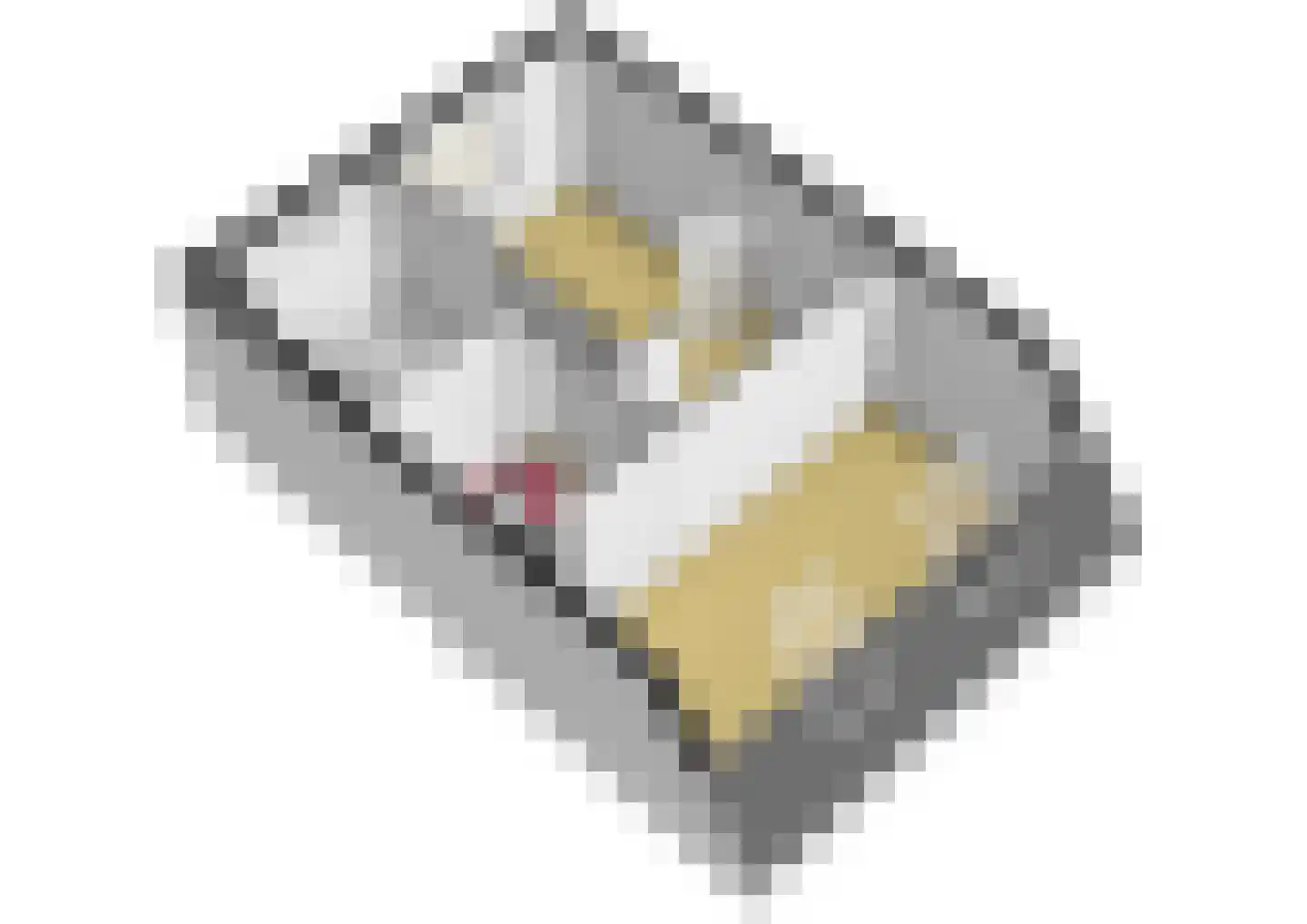 Assinkbos 15 Hoofddorp thumbnail 23