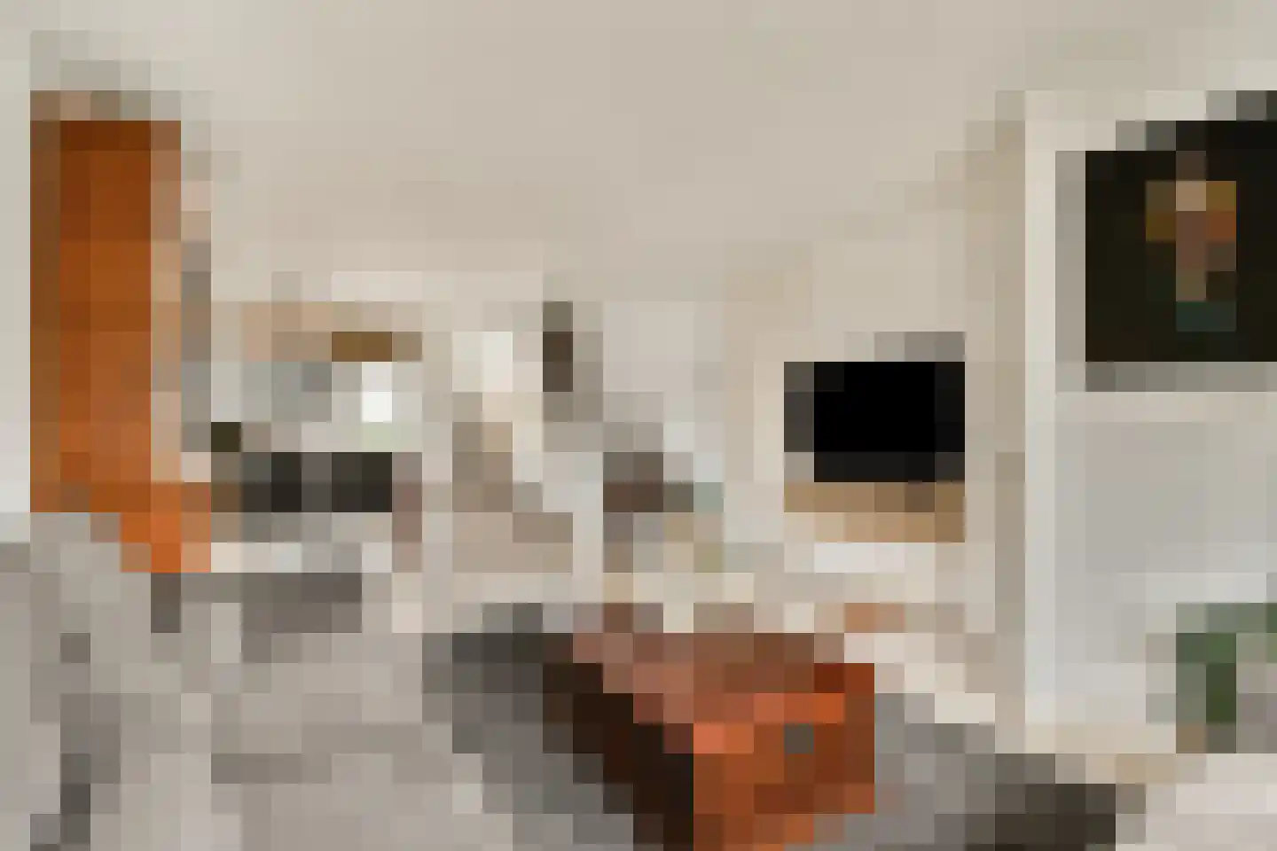 Assinkbos 15 Hoofddorp thumbnail 5
