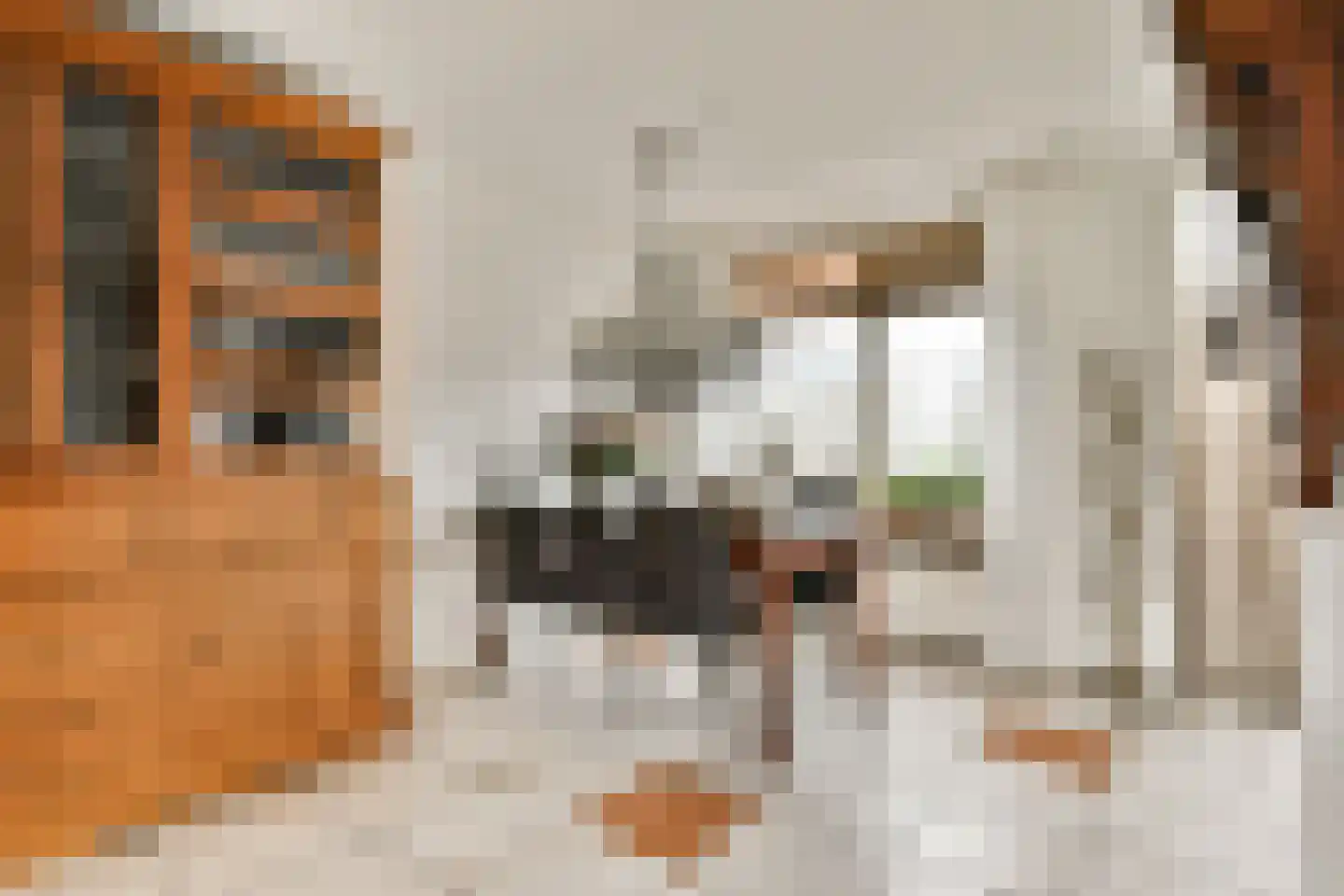 Assinkbos 15 Hoofddorp thumbnail 6
