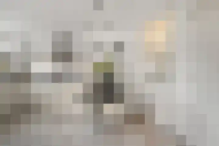 Assum 2 Uitgeest thumbnail 10
