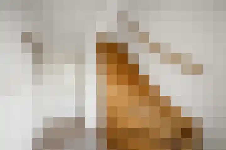 Assum 2 Uitgeest thumbnail 15