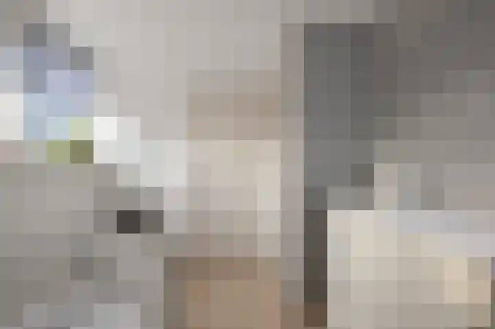 Assum 2 Uitgeest thumbnail 23