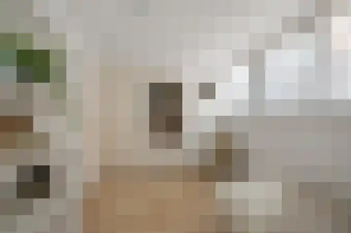 Assum 2 Uitgeest thumbnail 25