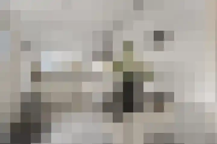 Assum 2 Uitgeest thumbnail 8