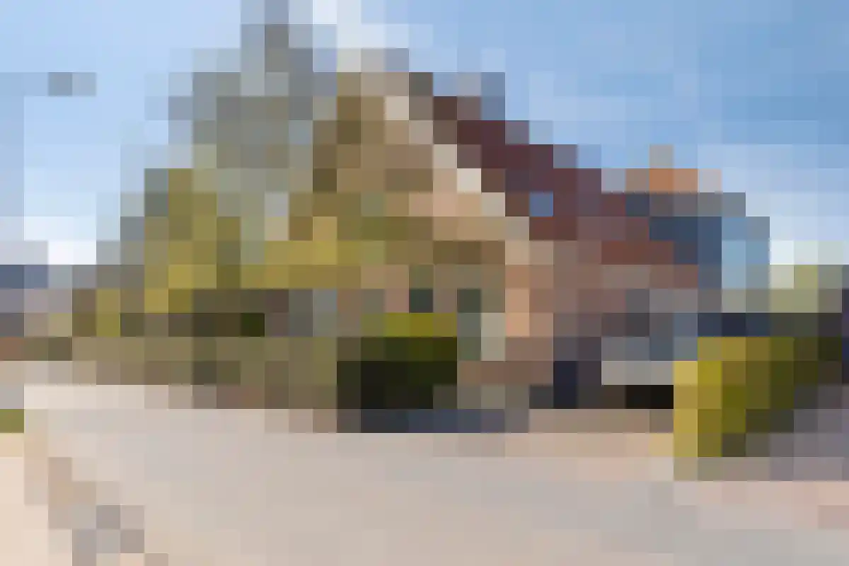 Assum Uitgeest