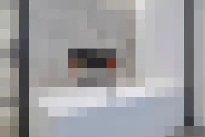 Assumburg 105 Hoofddorp thumbnail 27