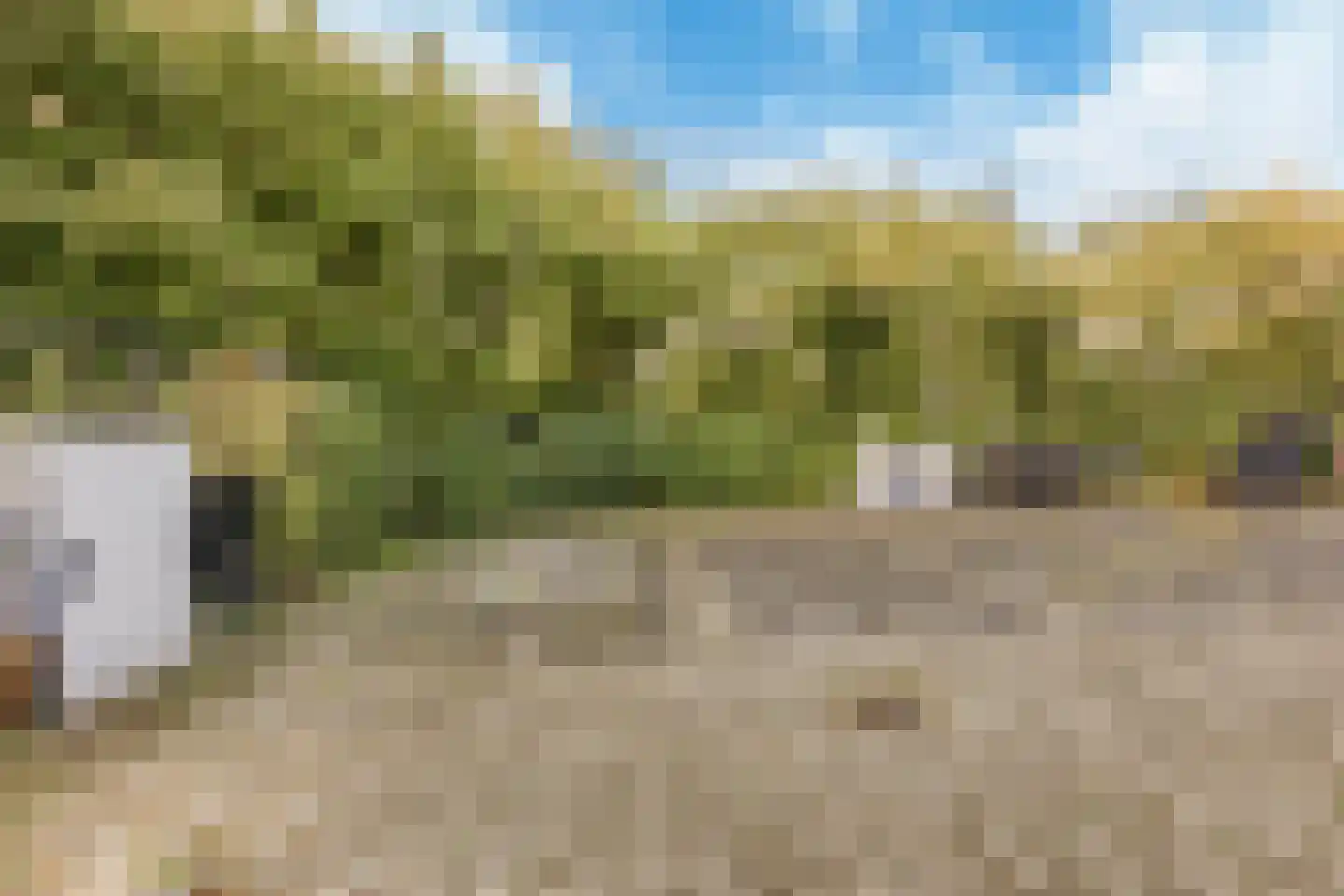 Assumburg 11 Hoofddorp thumbnail 12