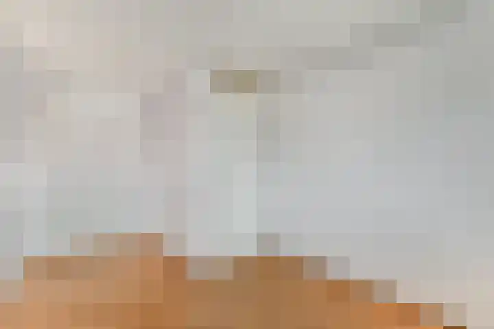 Assumburg 12 Zwijndrecht thumbnail 15