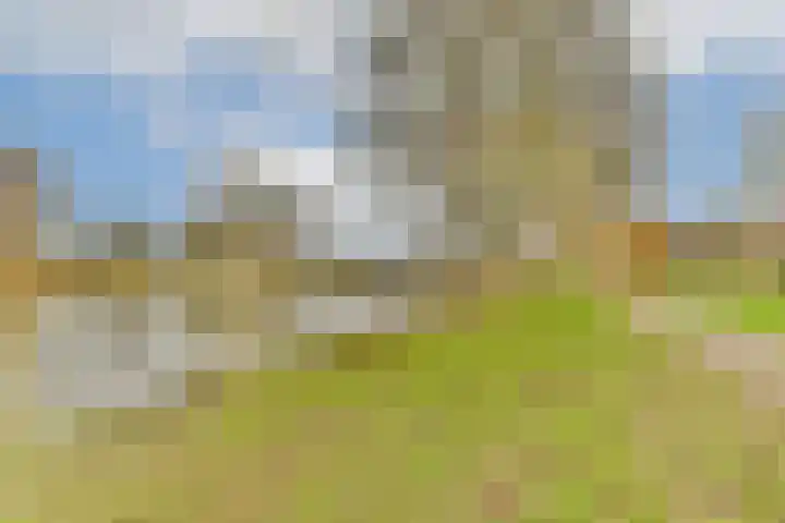 Assumburg 12 Zwijndrecht thumbnail 26